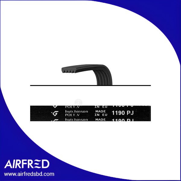 Correa POLY-V universal para lavadora 00126368