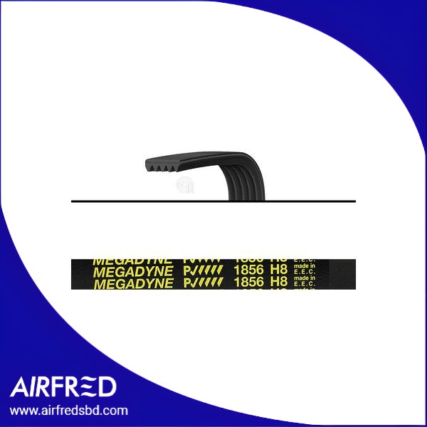 Correa Poly-V para secadora, código 00126561