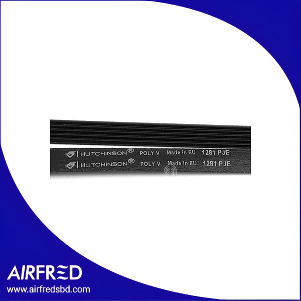 Correa de transmisión Poly-V para lavadora, modelo J5 1281