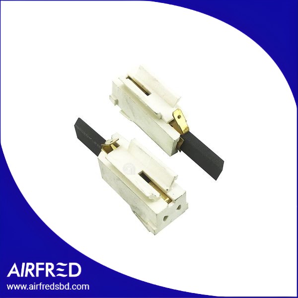 Juego de cepillos de motor 5x10x31 para lavadora 00215667