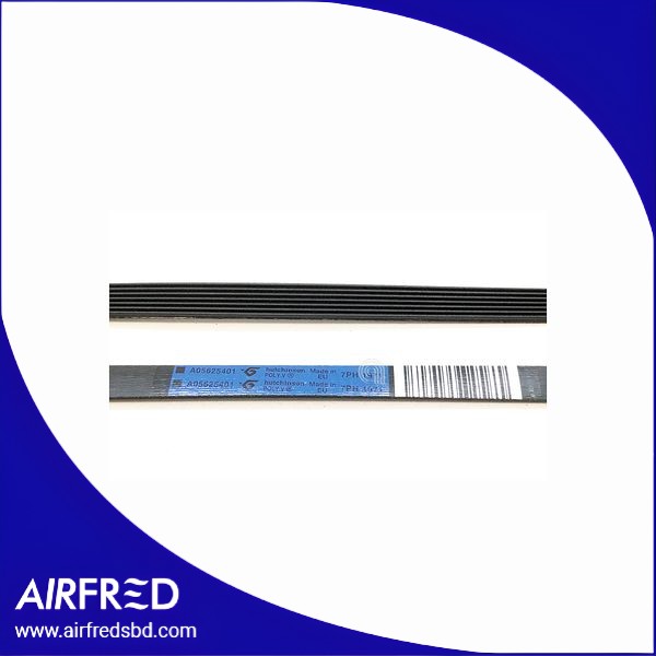 140056254018 - Correa poly-V para secadora