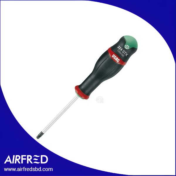 GIRAVITE TORX con foro T20X100, código 55501310