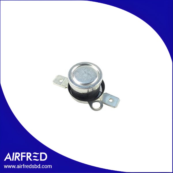 Termostato para horno BER602076 - repuesto