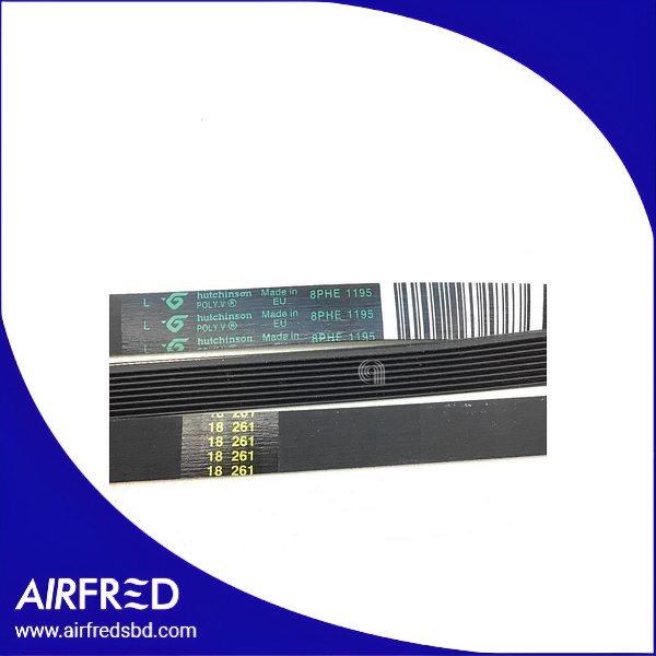 Correa Poly-V para lavadora, 1195 mm, repuesto