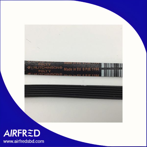 Correa de transmisión Poly-V para lavadora