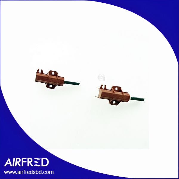 C00196539 - Escobillas de carbono para lavadora