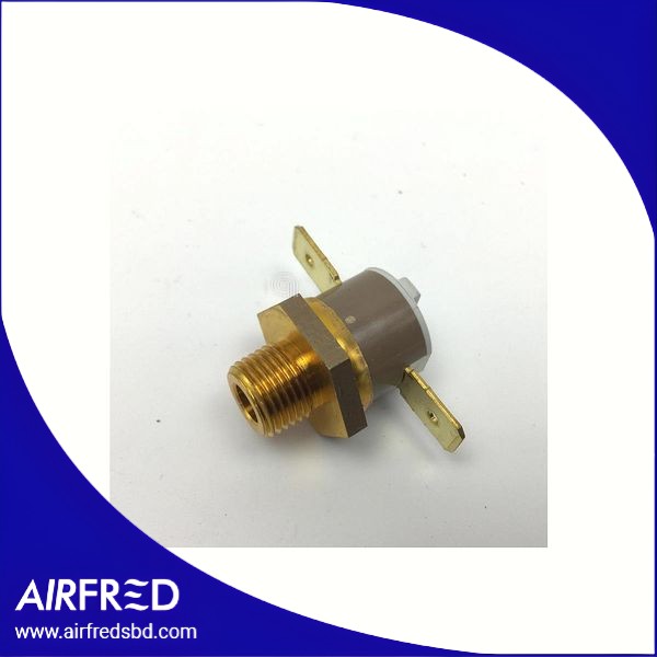 Interruptor de presión para plancha de vapor